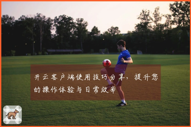 开云客户端使用技巧分享，提升您的操作体验与日常效率