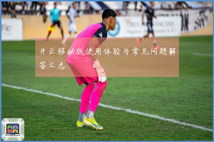 开云移动版使用体验与常见问题解答汇总