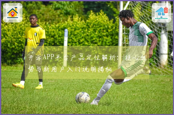 开云APP平台产品定位解析：核心优势与新用户入门说明揭秘
