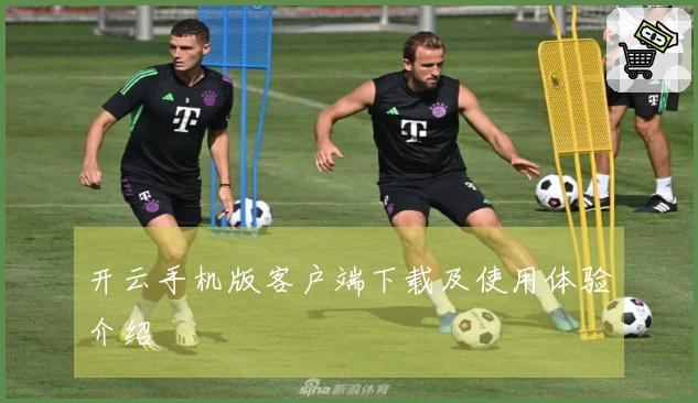 开云手机版客户端下载及使用体验介绍