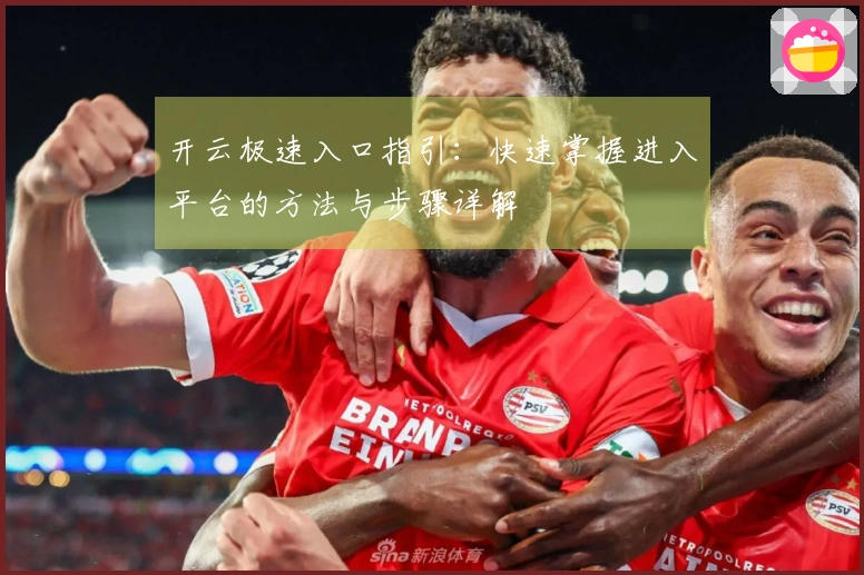 开云极速入口指引：快速掌握进入平台的方法与步骤详解